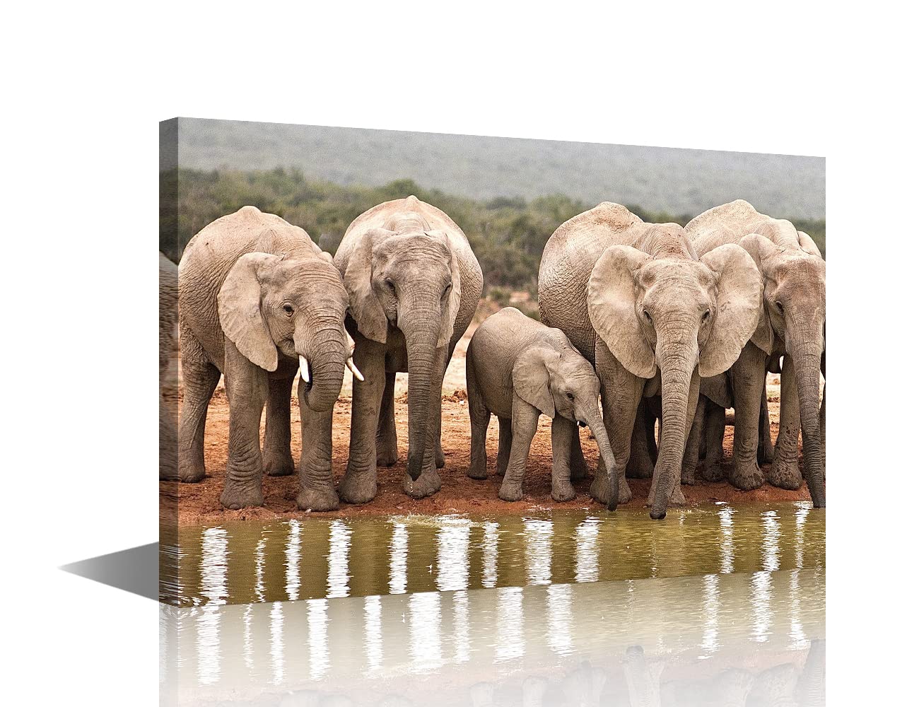 Canvas Wall Art Wild Animals Picture Artwork for Bedroom Wall Decorations for Kid's Room Living Room Hang Pictures Wall Artwork（16x24in-Wild Elephants Drinking by the River — image 1