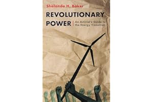 Revolutionary Power: An Activist's Guide to the Energy Transition