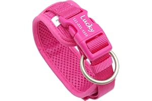 PETDURO Personalized Dog Collar with Custom Name & Phone for Medium Large Dogs - Wide Padded Soft Velvet - Heavy Duty Engrave