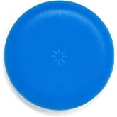 INVISALIGN Aligner and Retainer Case, Royal Blue