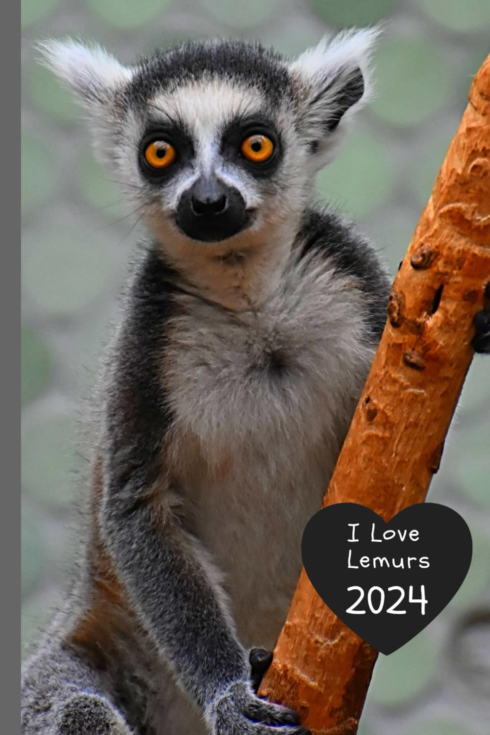I Love Lemurs 2024: Weekly & Monthly Planner Organizer Diary with Goal Setting and Gratitude Sections. Trackers, Checklists and more