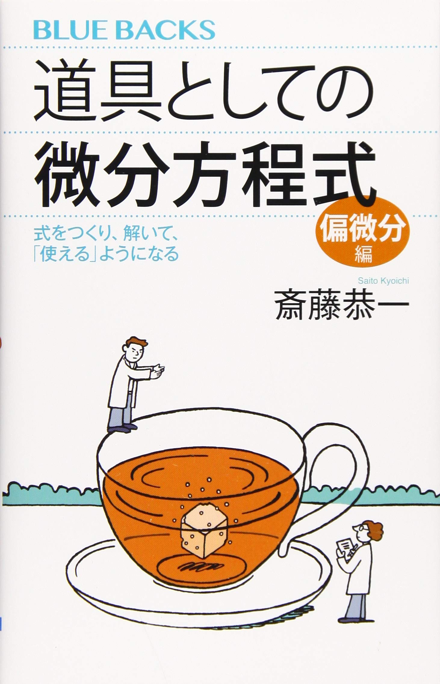 道具としての微分方程式 偏微分編 式をつくり 解いて 使える ようになる ブルーバックス Amazon Com Books