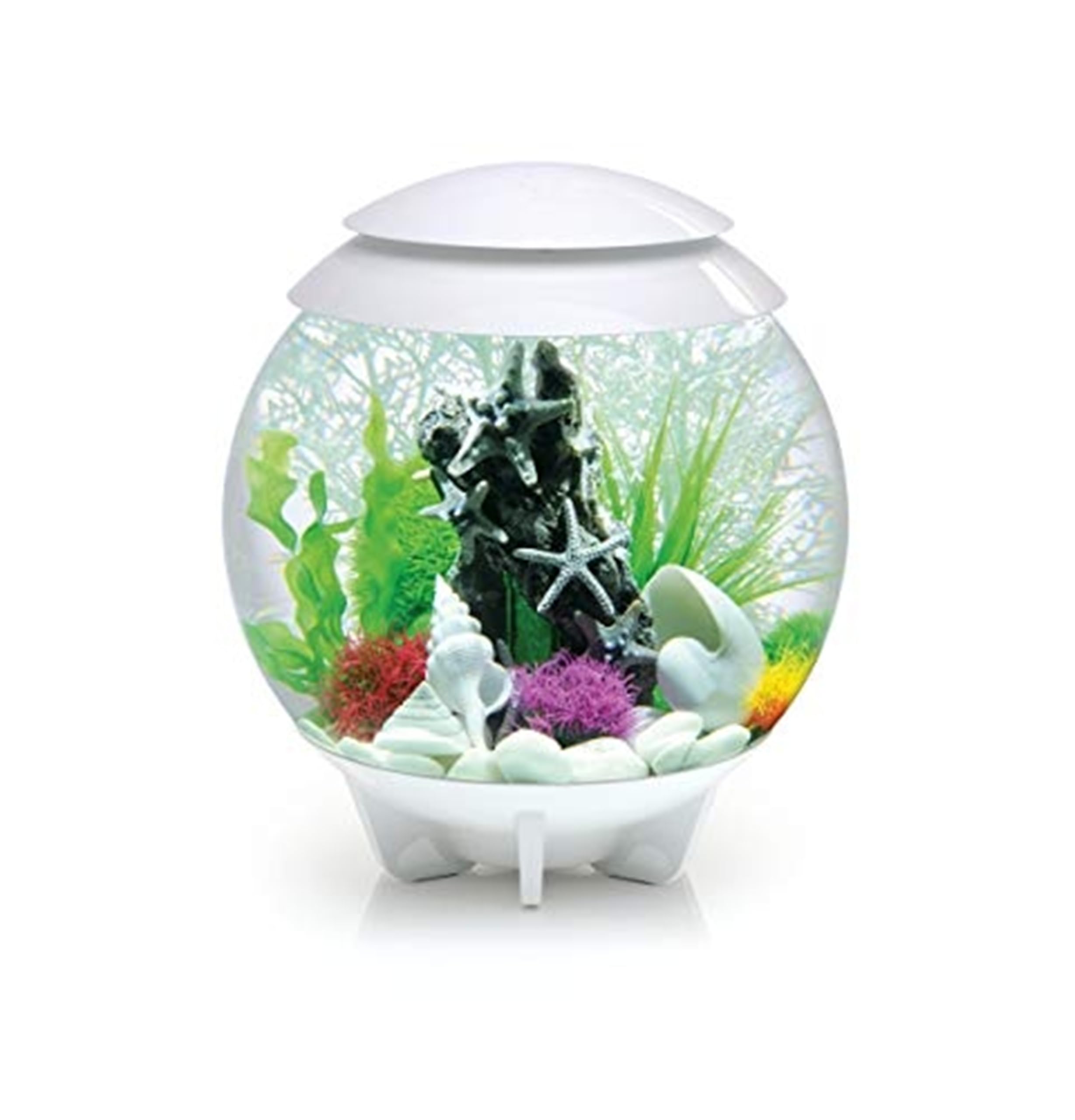 biOrb HALO 30 Aquarium (White, 30 Litres), Perfect Beginner Fish Tank With Integrated LED Lights, Quick & Easy To Set Up, 360-Degree View Aquarium With 5-Step Filtration System, Acrylic Fish Tank