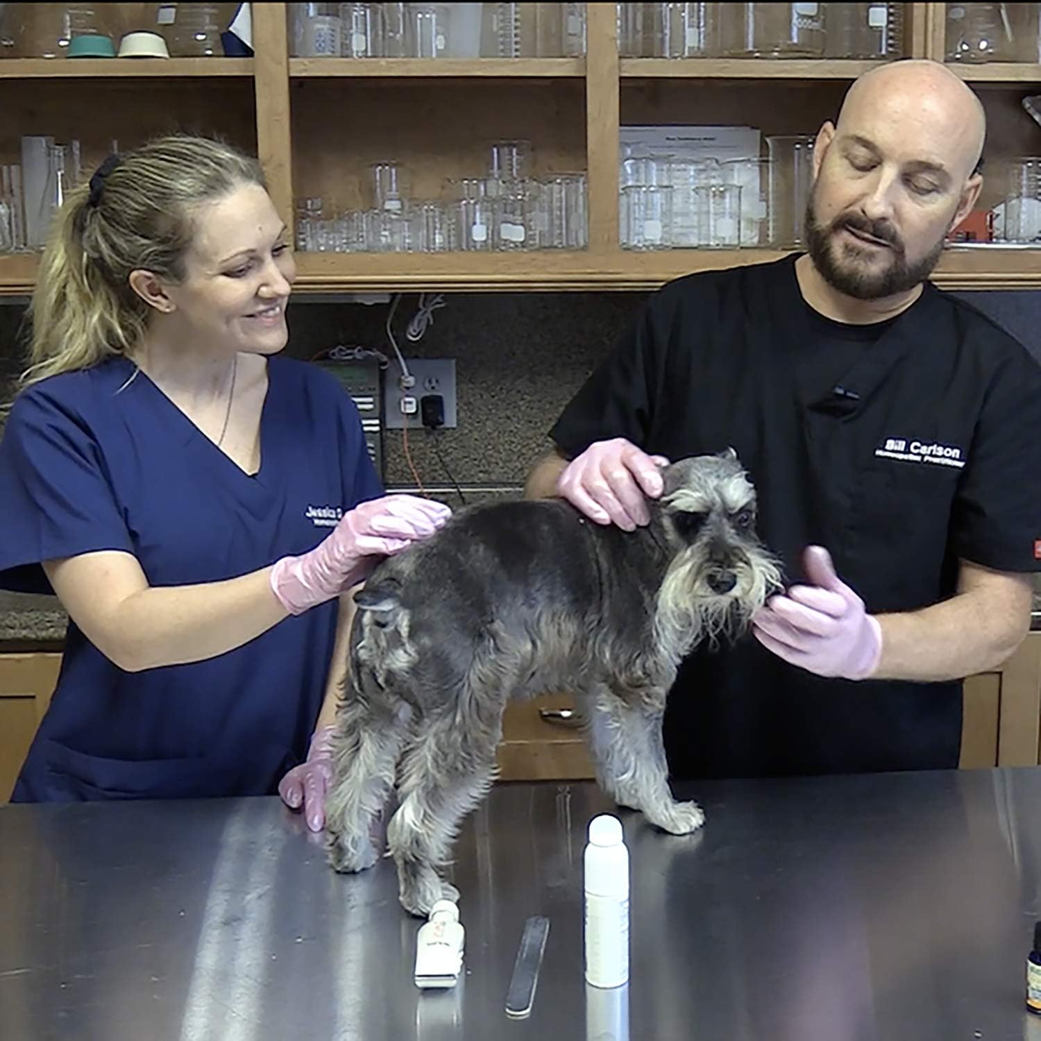 naturasil dog wart remover uk