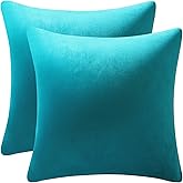DEZENE Throw Pillow Covers 18x18 Turquoise: Pack of 2 Cozy Soft Velvet Square Modern Luxury Decorative Throw Pillow Cases for Sofa Couch Living Room Bed Home Decor