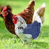 Yinuoday 3PCS Chicken Saddle Hen Apron Poultry Protector Blue Medium view 7