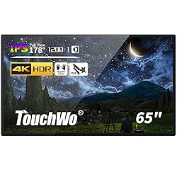 TouchWo 65 inch Capacitive Multi-Touch Screen