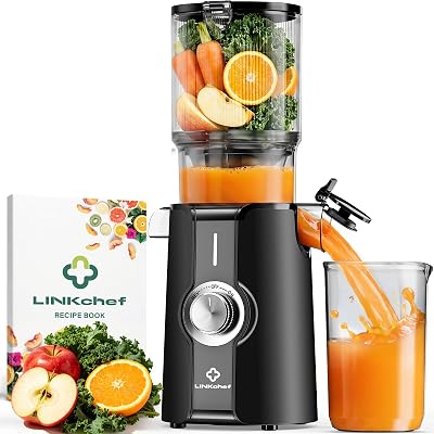Entsafter Slow Juicer 200W Kaltentsafter für Obst & Gemüse