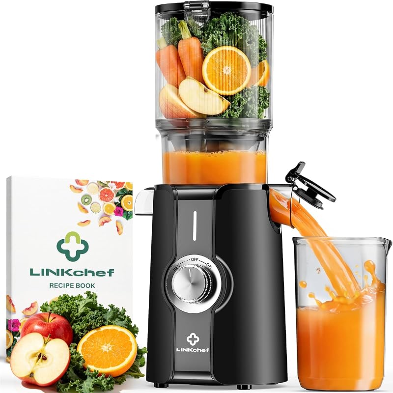 Entsafter Slow Juicer 200W Kaltentsafter für Obst & Gemüse