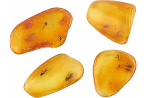 ELEGAMBER Baltic Amber Natural Fossil Insects,Insects from Millions of Years ago-Four Sets,True Insect Samples-Science Classroom Science Education Animal Specimens (Two or More Insects Amber Fossils)