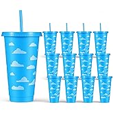 Afcabakila 12 Pcs 24 Oz Blue Cartoon Cloud Party Tumbler, Reusable Plastic Cups with Lid and Straw, Birthday Carnival Theme Supplies, Drinking Cup
