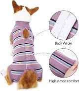 Jodsen Recovery Suit for Dog Purple Stripes XL Elastic Anti-Lick Pajamas view 5