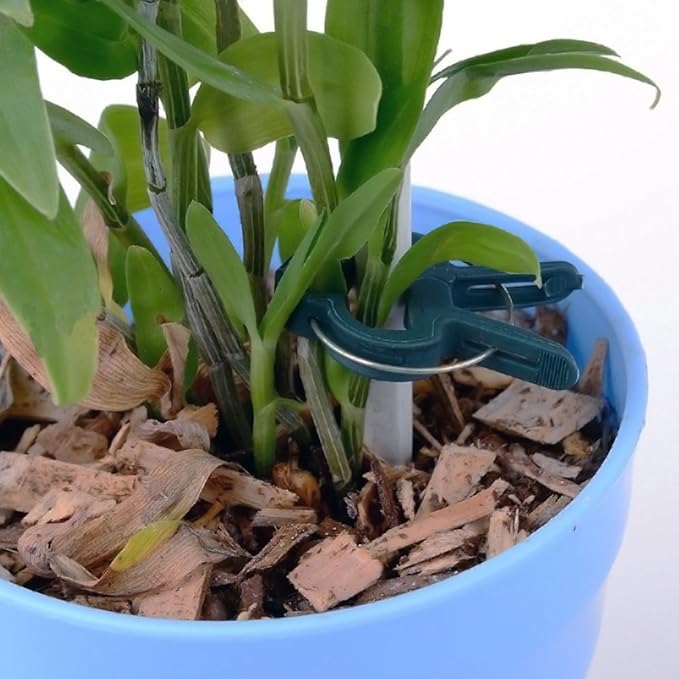 szdc88 Jardín Clip Traje Plástico Flor Planta Palanca Loop Pinza ...