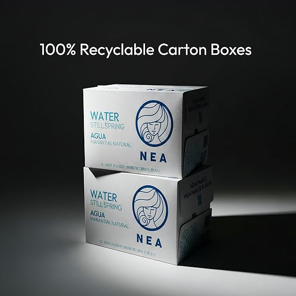 NEA CANNED WATER – AUSTRIAN ALPS SPRING MINERAL CAN WATER IN ALUMINUM CANS – PLASTIC FREE BPA FREE 16.9OZ (1 CASE – PACK OF 12)