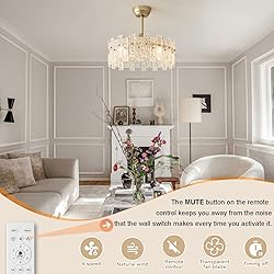 Crystal Chandelier Fan Caged Ceiling Fan with Light