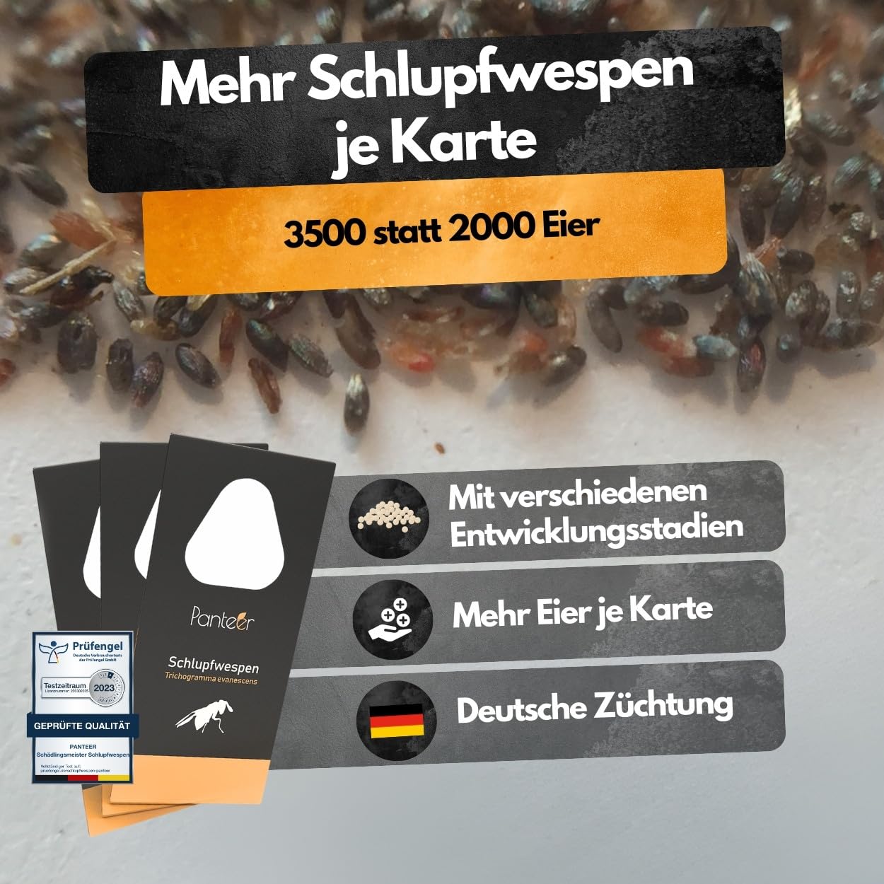 Panteer® Schlupfwespen gegen Lebensmittelmotten + GRATIS Mottenfalle - 9 Karten (3 Karten à 3 Lieferungen) - Schlupfwespen - Lebensmittelmotten Falle - Schlupfwespen gegen Motten - Made in Germany 3