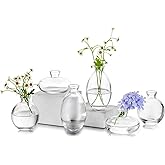 Glass Bud Vase for Centerpieces, 6Pcs/2Sets Glasseam Modern Clear Mini Small Vases for Flowers Bulk Flower Vase Set Aesthetic Cute Handmade Tiny Short Wedding Table Centerpiece Decor
