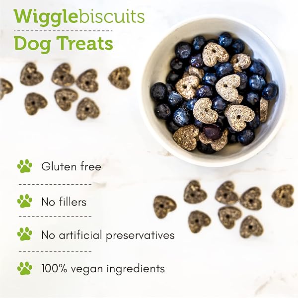 V-DOG VEGAN SOFT AND CHEWY WIGGLE DOG BISCUITS – DOG TRAINING TREATS – SMALL, MEDIUM AND LARGE BREEDS – NATURAL BLUEBERRY FLAVOR SUPERFOODS – 10 OUNCE – ALL NATURAL – MADE IN THE USA
