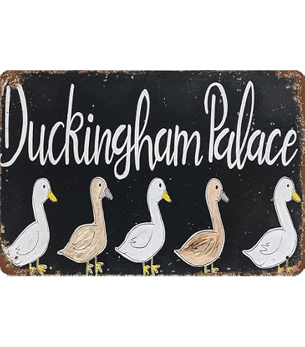 Rustic Farmhouse Duck Coop Sign - Metal Outdoor Decor 'There's Like A Lot Of Ducks In Here' 15.8x4 Inch - View #6