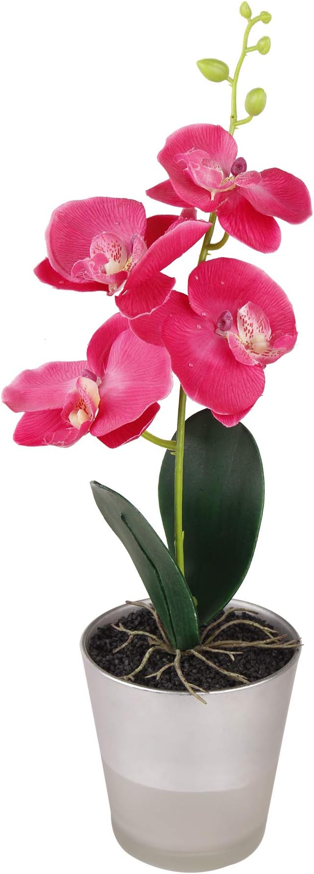 Direct Home Living Artificial Orchid with Glass Vase - Fake Silk Flowers Decoration for Home/Office/Tanle/Garden/Party/Wedding