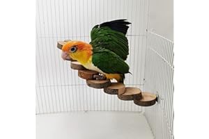BARN ELEVEN Bird Platform Perch Playground for Budgie Parakeet, Cage Natural Wood Play Stand Parrot Flat Perches for Large Birds, Birdcage Ladder Climbing Toy 8 Step