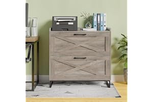 BEFRASES 2 Drawer Lateral File Cabinet, Filing Cabinet with Charging Station for Letter/Legal/A4 Size Hanging Files, Modern Farmhouse File Cabinet for Home Office, Printer Stand with Storage, Washed Gray