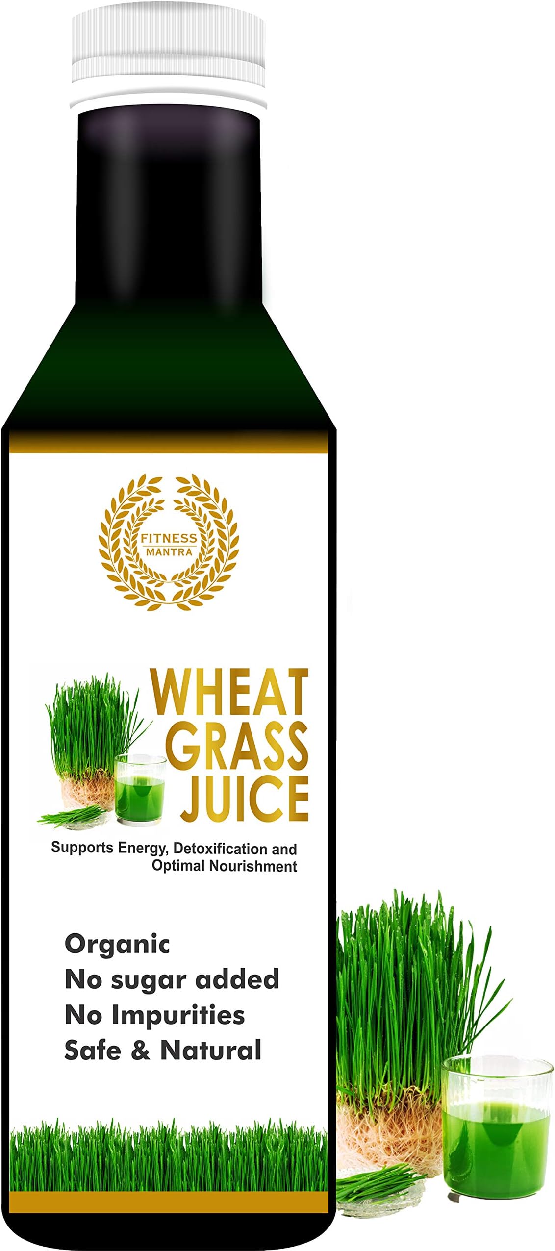 Fitness Mantra Wheat Grass Juice Bottle, 500 ml