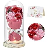 HVY Preserved Flowers Bouquet with Red and Pink Roses in Glass Dome, Perfect for Valentines Day, Anniversary, Birthday, Mothers Day or Christmas