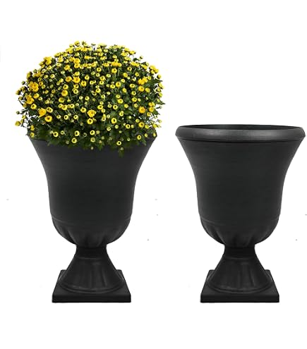 Roman Übertopf „You Are My Sunshine“ – 15,2 Cm Hoch, Für Drinnen & Draußen, Dekorativer Blumentopf, Garten-Deko
