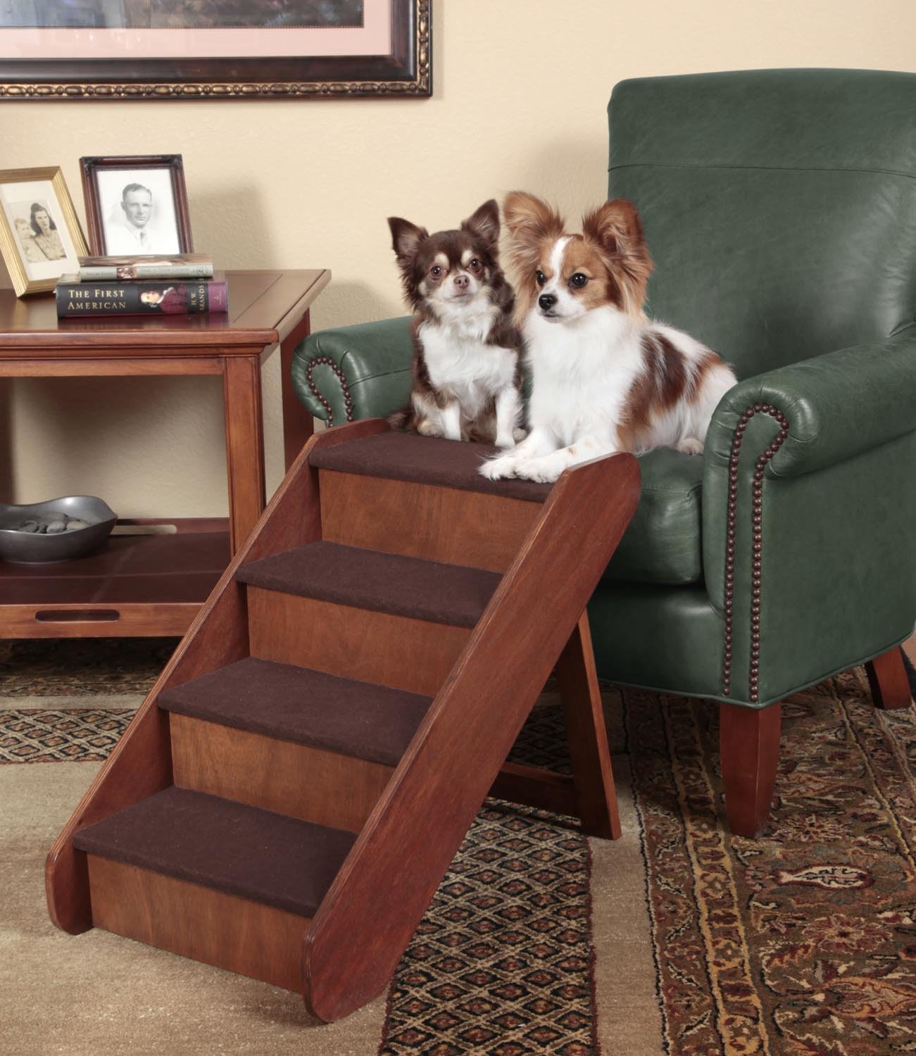 PetSafe CozyUp Folding Wood Pet Steps - PupSTEP Dog and Cat Stairs - Lightweight Durable Wooden Frame Supports up to 200 lb - Side Rails and Non-slip Feet Provide Added Security - 20 inches : Pet Supplies