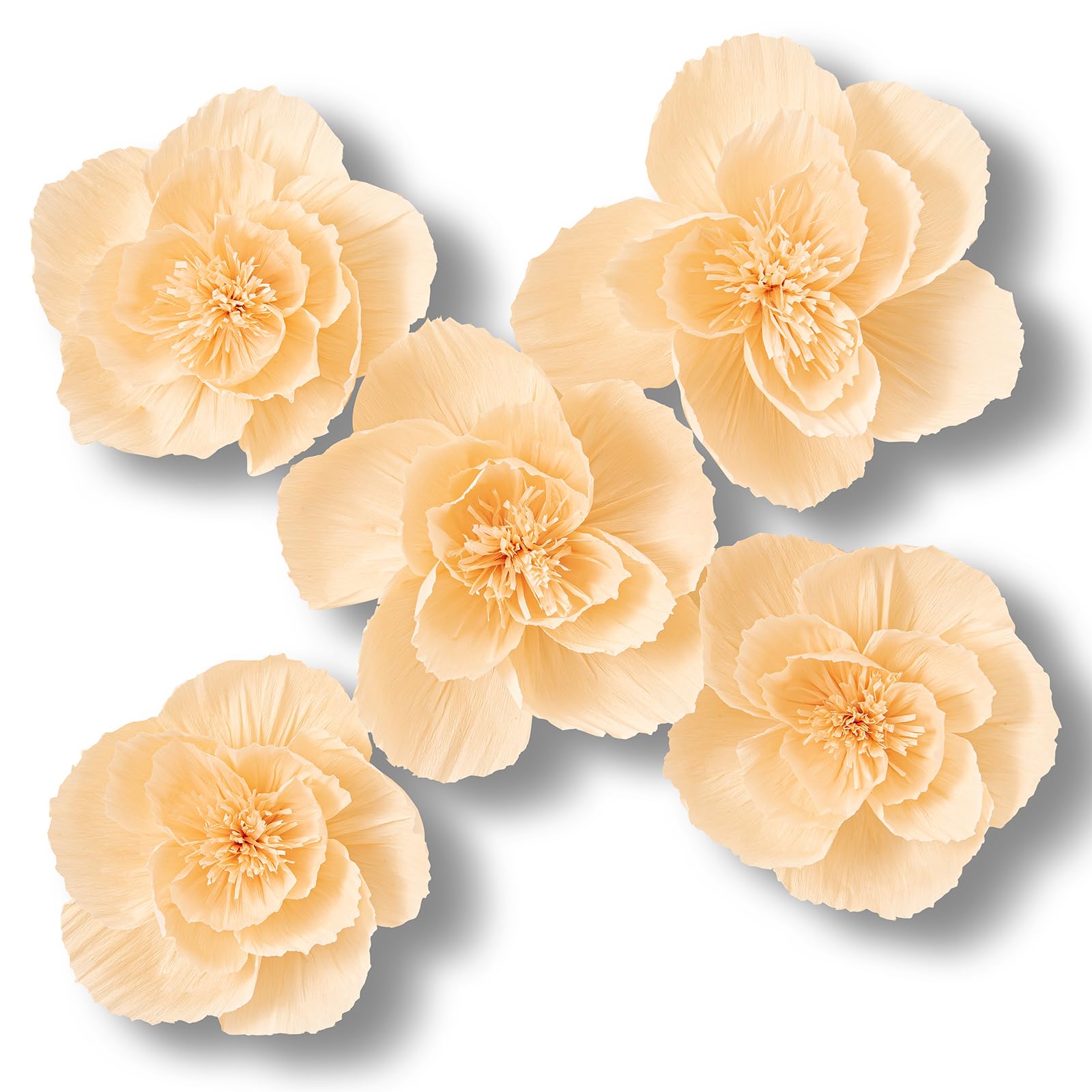 Photo 1 of MEJOY 5 Pcs 12" 3D Paper Flower Decoration for Party, Wedding Decoration, Background Wall, Nursery Room Decoration, Bridal Shower, Baby Shower(Cream, Set/5)