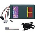 DaYaoEnne 52V 20Ah Ebike Lithium Battery Pack for 2000W E-Bike/Scooter | 50A Smart BMS & 5A Fast Charger | 1500+ Cycles (52V20Ah with 5A Charger)