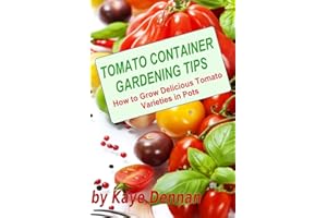 Tomato Container Gardening Tips: How To Grow Delicious Tomato Varieties In Pots