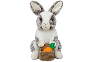 HO-EF Easter Bunny Stuffed Animal, 12" Stuffed Bunny with Floppy Ears & Holding Basket, Machine Washable& Softness, Rabbit Toys for Girls Boys Kids Babies Great Easter Gifts Decorations(Brown)