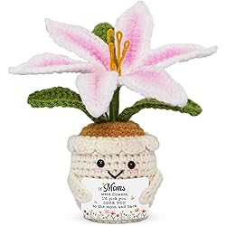 71X3wG3bHfL. AC UL250 SR250,250