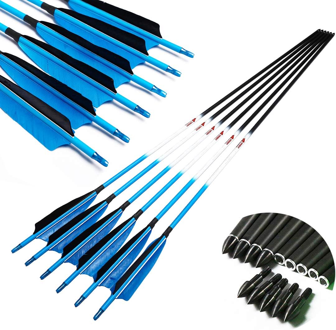 Linkboy Archery Carbon Arrows Hunting Practice Target Arrows Fluorescent with Removable Tip for Compound Recurve Long Bows, Spine 300 340 400 500 600, Pack of 6/12PCS : Sports & Outdoors