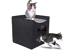 Geizire Cat Beds for Indoor Cats,Cute Shape Cat Cave, Foldable Cat House with 2 Cushion, Lightweight and Durable Natural Wool Felt Covered, No Chemical Smell & Bad Odor