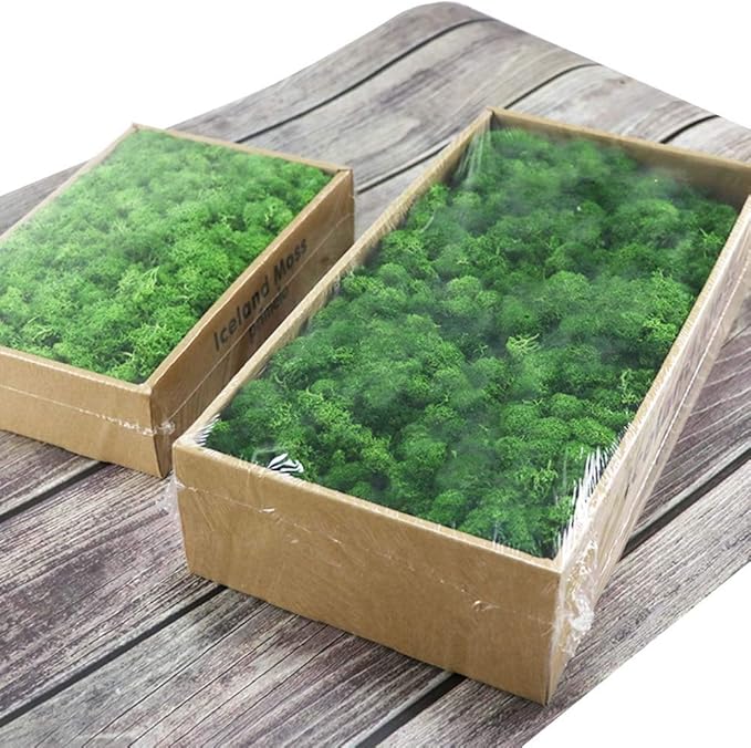 Dried Preserved Green Moss, Natural Finnish Moss Eternal Moss Box
