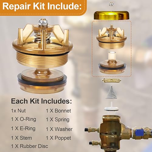 FEBCO 765-1 Bonnet Poppet Repair Kit For Backflow Valve #765, 905, 212 Models
