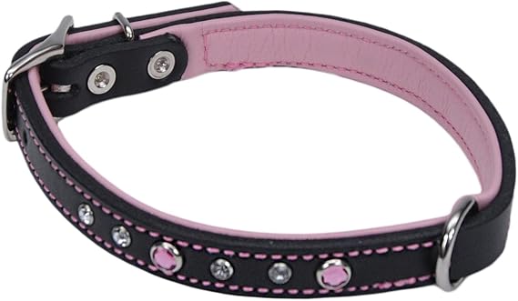 circle t rolled leather dog collar