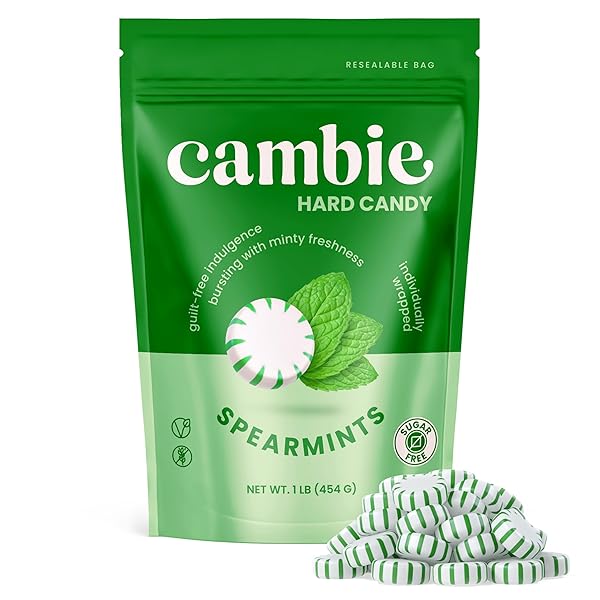 CAMBIE SUGAR FREE HARD CANDY, 1 LB OF SUGAR FREE CANDY INDIVIDUALLY WRAPPED, SPEARMINT
