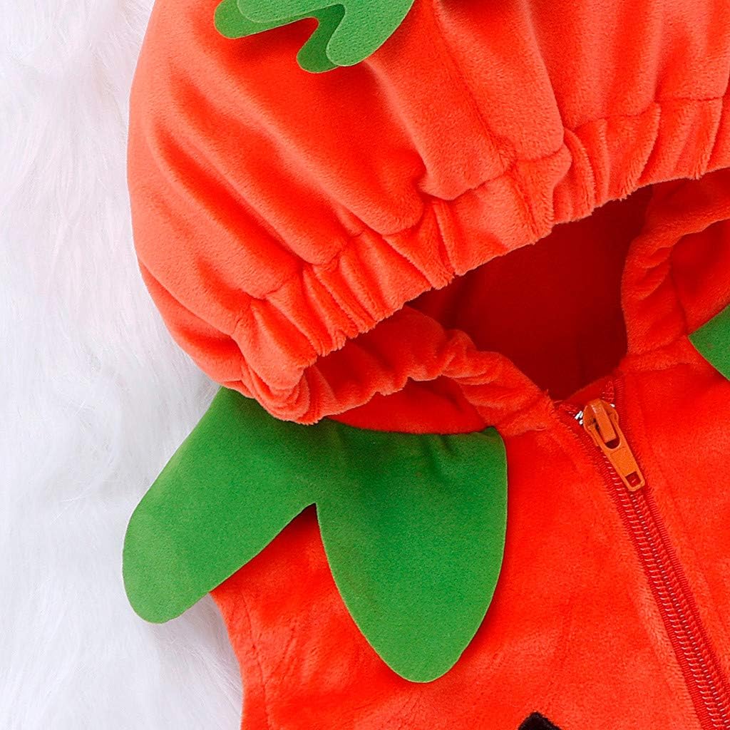 0-24 Mesi SUDADY Costume Halloween Neonato Body Neonati Vestiti Carnevale  Bambini Pagliaccetto Neonata Vestito Carnevale Bambina Tutine Neonati  Costumi Halloween Zucca Abbigliamento/Arancione Costumi e travestimenti  urban-earth.co.uk