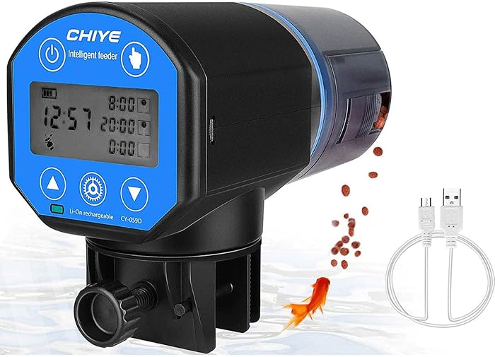 The Best Fish Food Vacation Feeder Betta