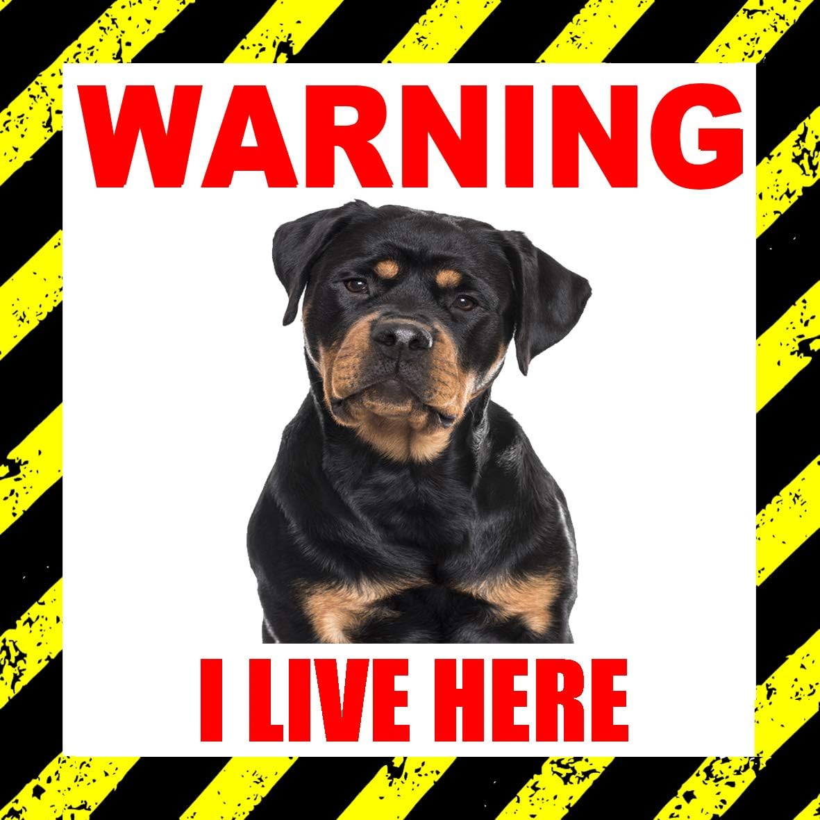 Millhouse Prints Warning I Live Here 'Rottweiler' - Cute Animal/Dog - Window, Door ect Vinyl Sticker