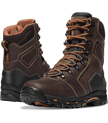 Amazon.com: Danner Men's 63100 Sierra 8