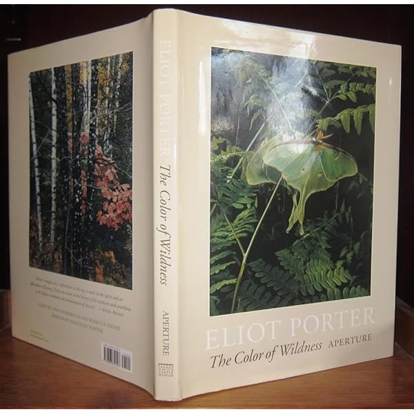 Tom Thomson, the Silence and the Storm: Harold Town; David P