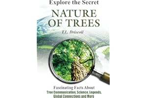 Explore The Secret Nature of Trees: Fascinating Facts About Tree Communication, Science, Legends, Global Connections and More
