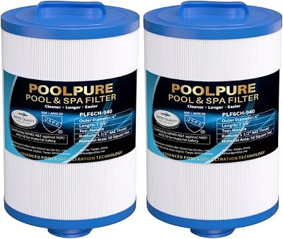 POOLPURE 6CH-940 Spa Filter 50 sq ft 1.5 in SAE Thread 2 Pack