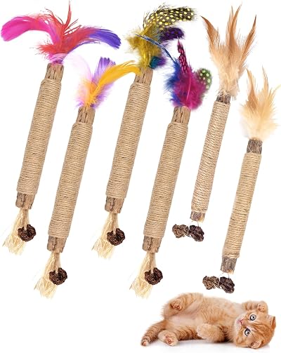 ERKOON Catnip Toys Cats Kitten Silvervine Chew Sticks Feather Matatabi