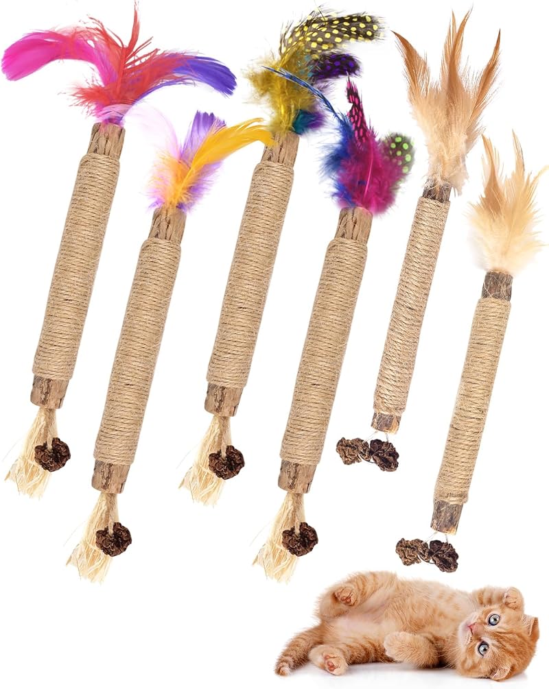 ERKOON Catnip Toys Cats Kitten Silvervine Chew Sticks Feather Matatabi